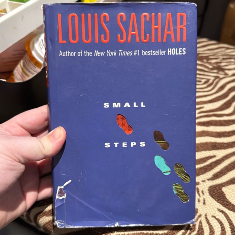 Small Steps