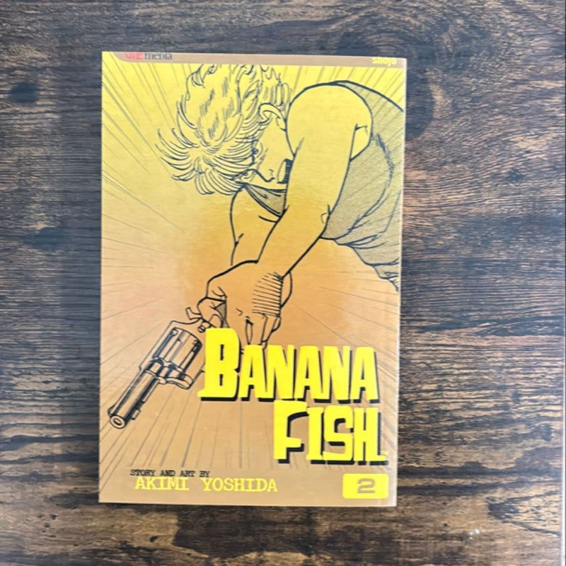 Banana Fish, Vol. 2