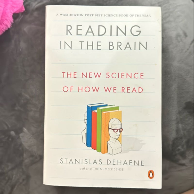 Reading in the Brain