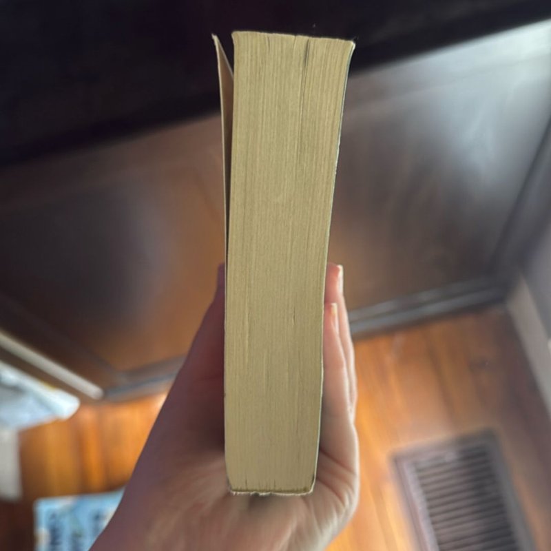 A Cat Cafe Christmas