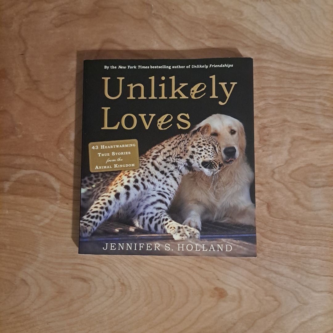 Unlikely Loves