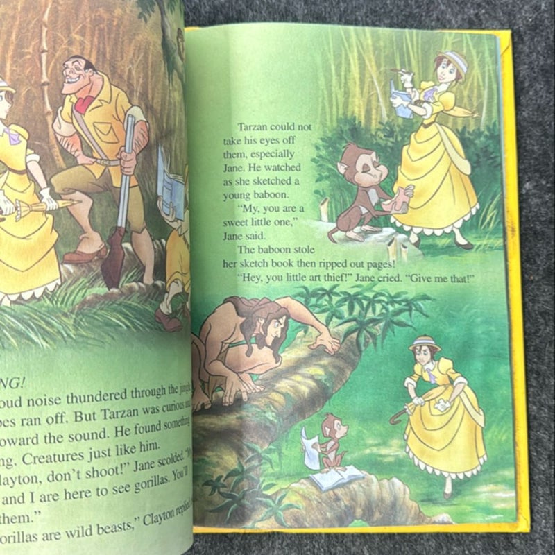 2-pack Lion King and Tarzan books