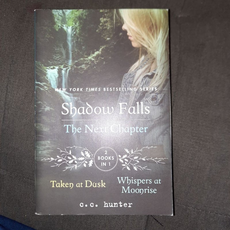 Shadow Falls: the Next Chapter