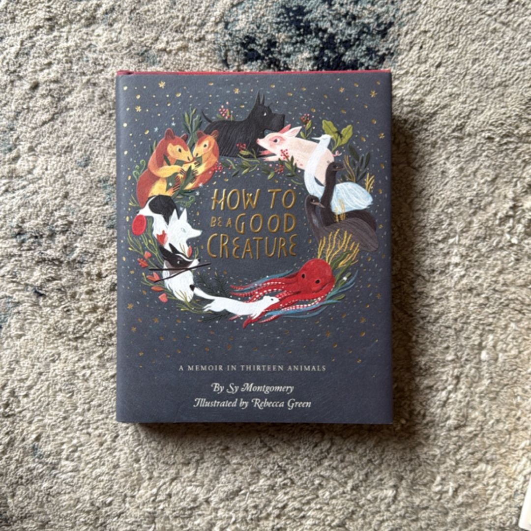 Sale image for 16f12b1d-206b-4bc8-acf2-a1d037532015-UZgusiRCRBeVXjhqCuFMBnz5Bkr2