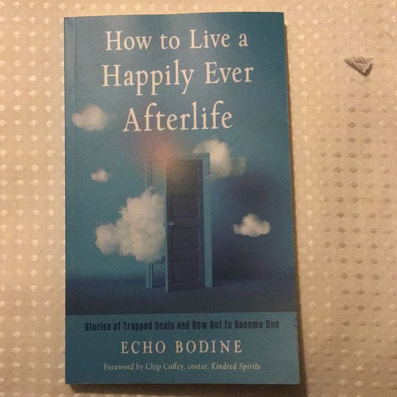 How to Live a Happily Ever Afterlife