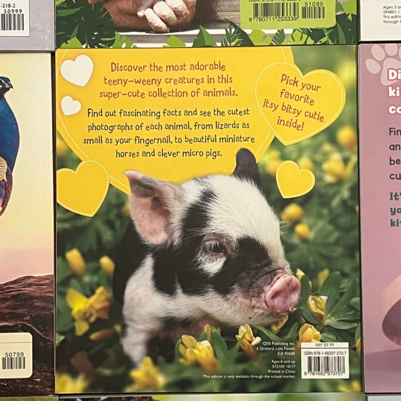 Animal Book Bundle