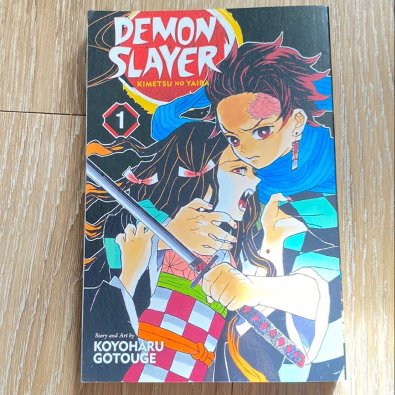 Demon slayer volume 1