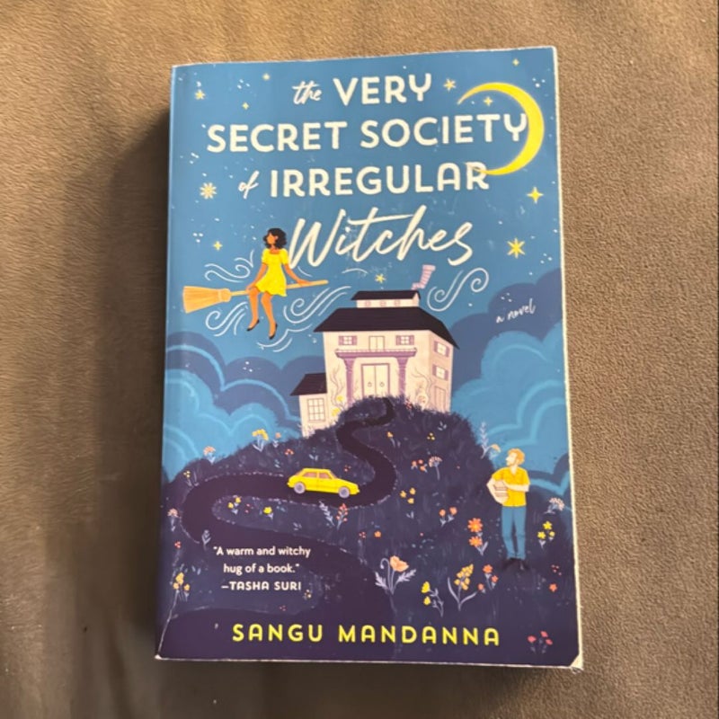 The Very Secret Society of Irregular Witches