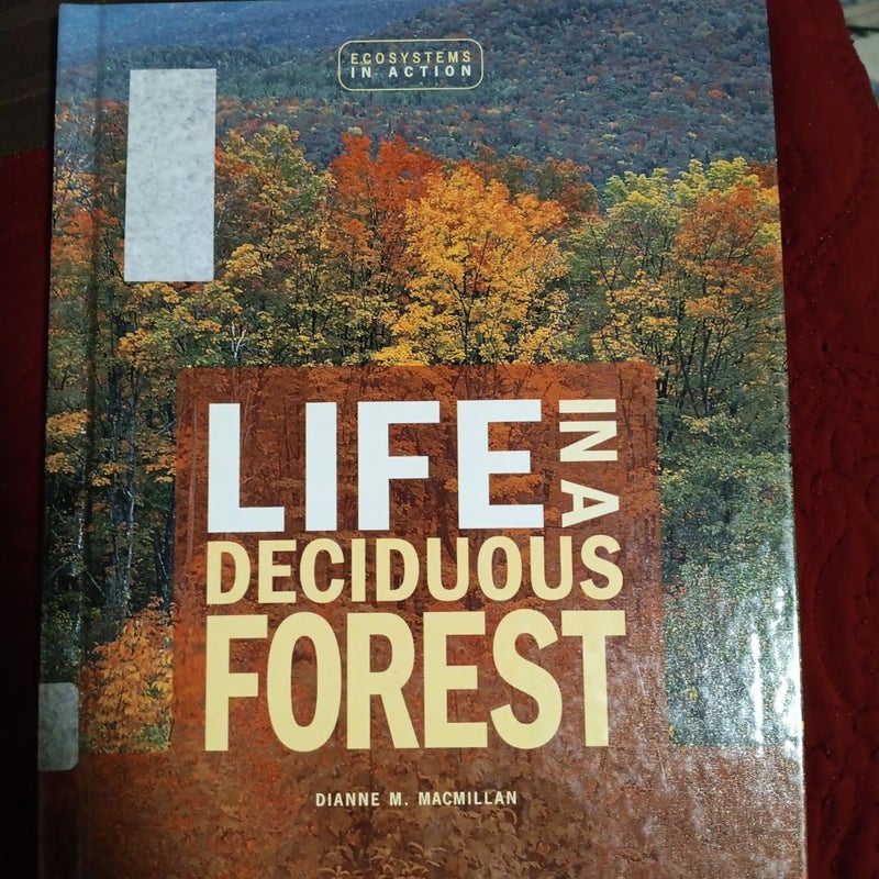 Life in a Deciduous Forest