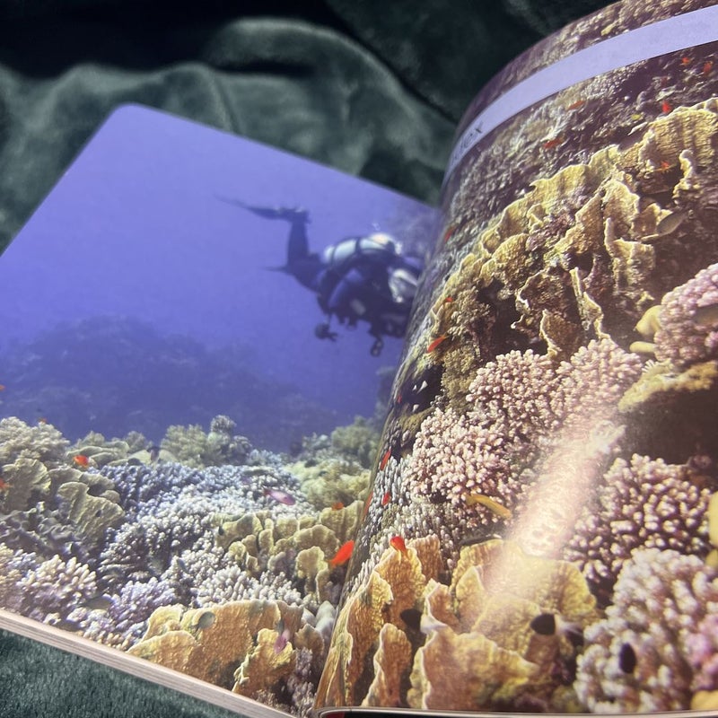 Mini Encyclopedia: Oceans