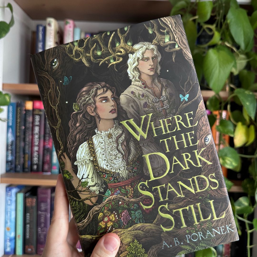 Where the Dark Stands Still