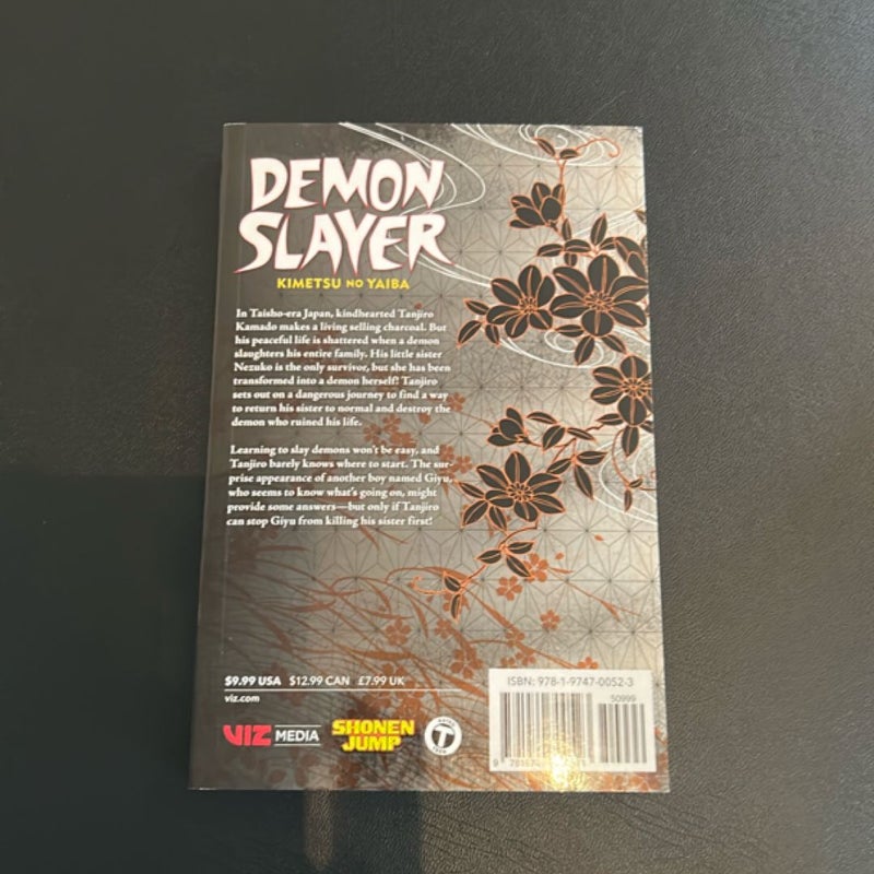 Demon Slayer: Kimetsu No Yaiba, Vol. 1