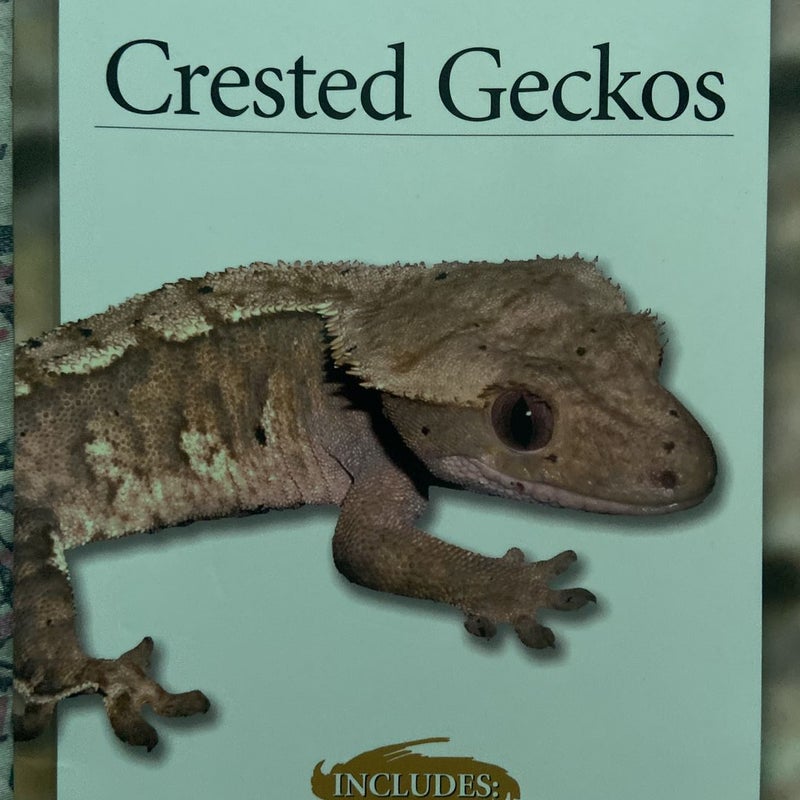 Crested Geckos