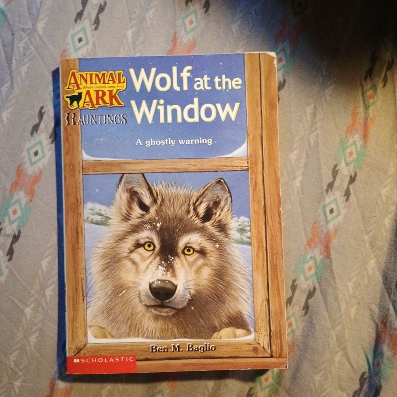 Wolf at the Window