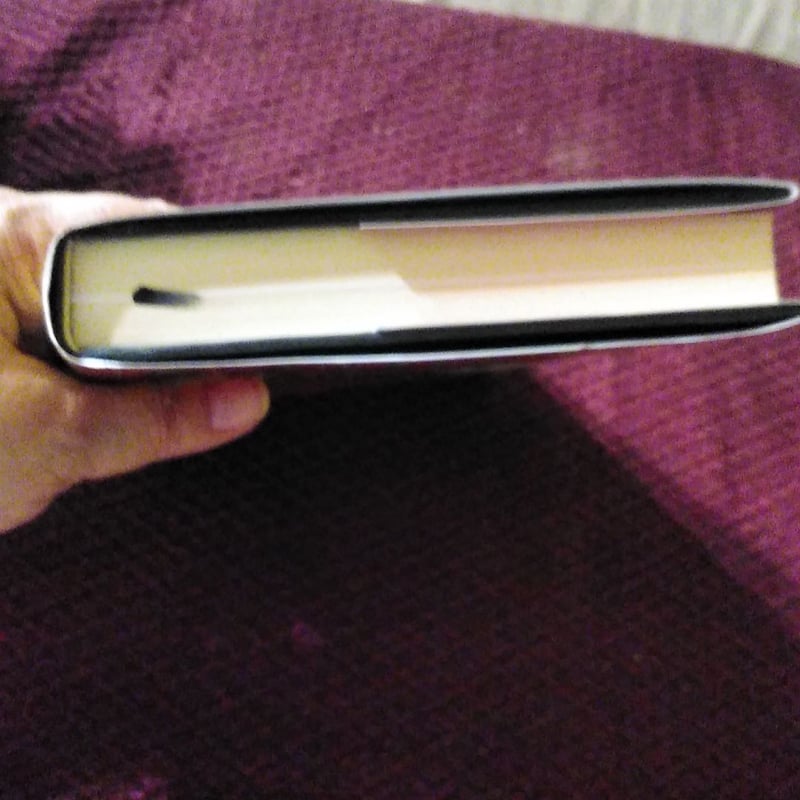 Playing to the Gods by Peter Rader, Hardcover | Pangobooks