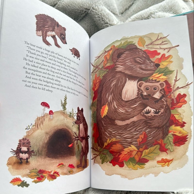 The Hedgehog Leaves Home