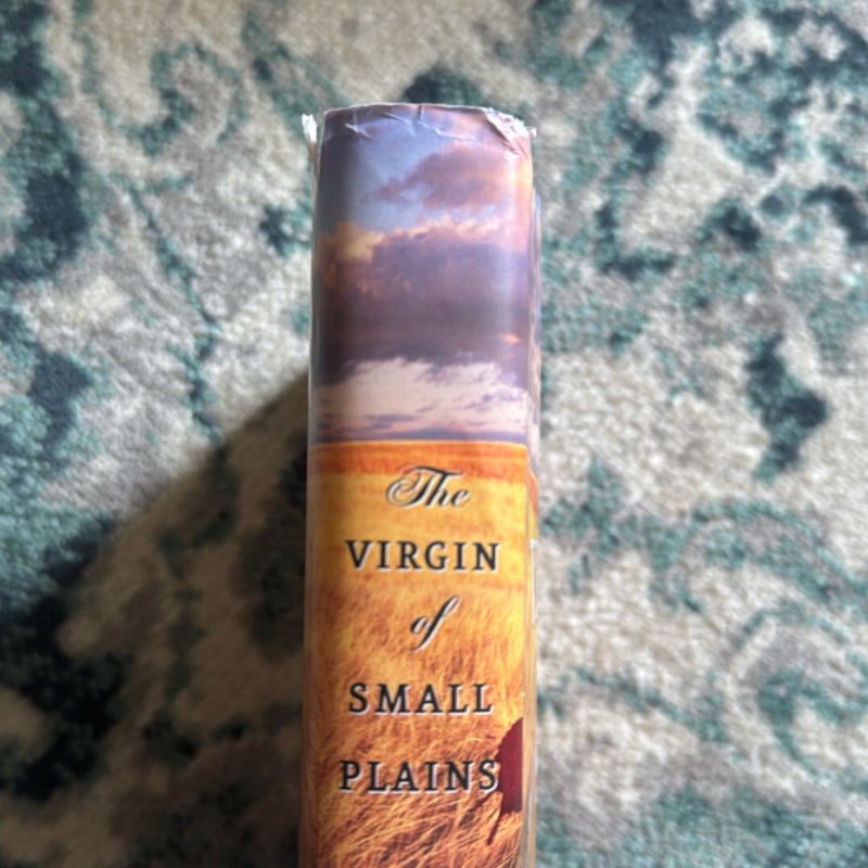 The Virgin of Small Plains