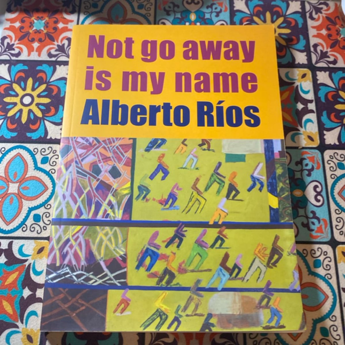 Not Go Away Is My Name by Alberto Ríos