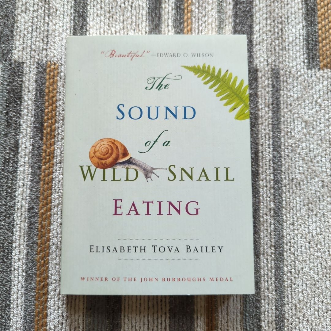 The Sound of a Wild Snail Eating