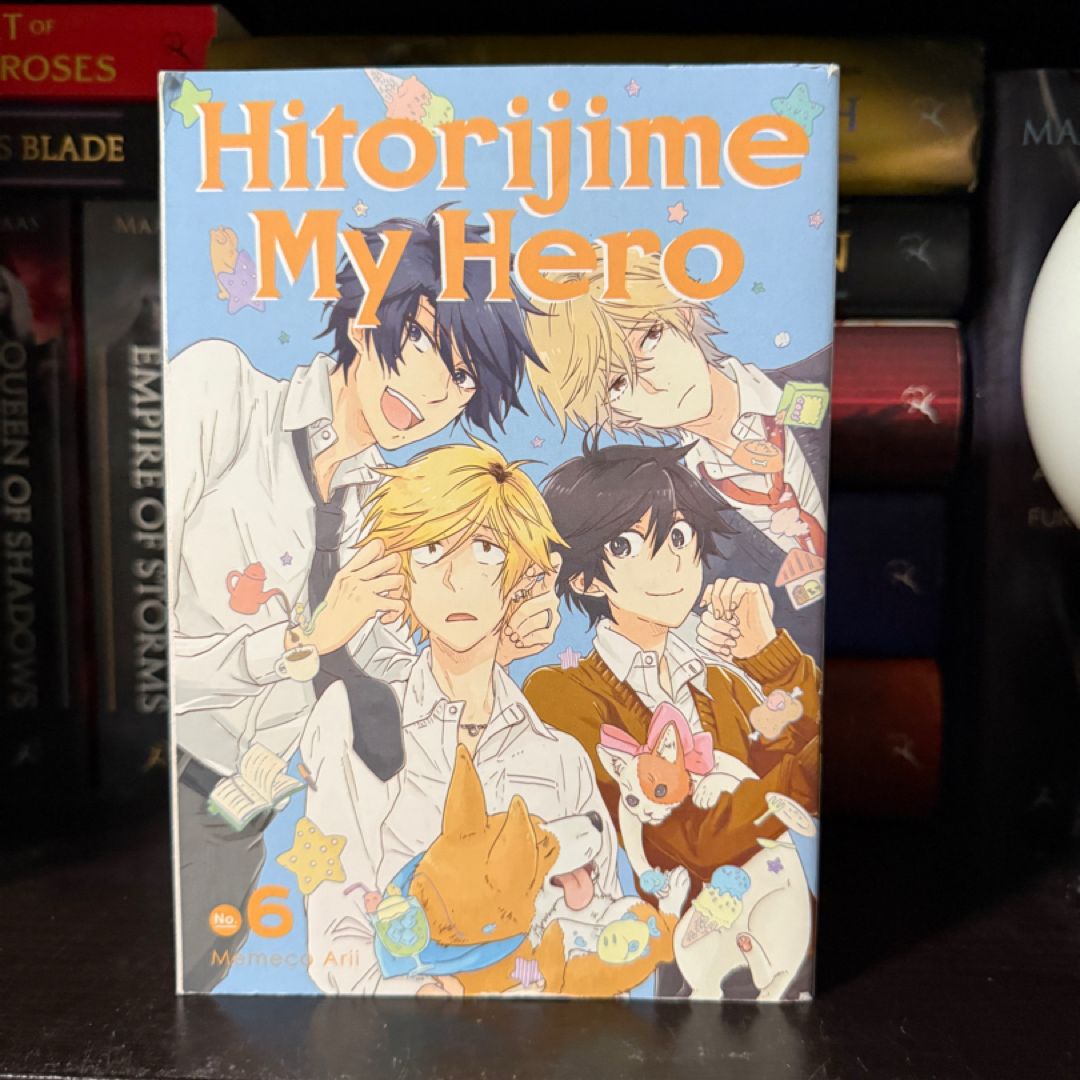 Hitorijime My Hero 6