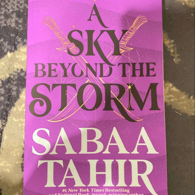 A Sky Beyond the Storm