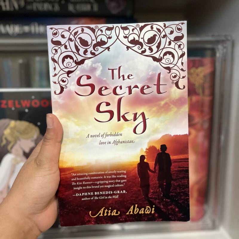 The Secret Sky