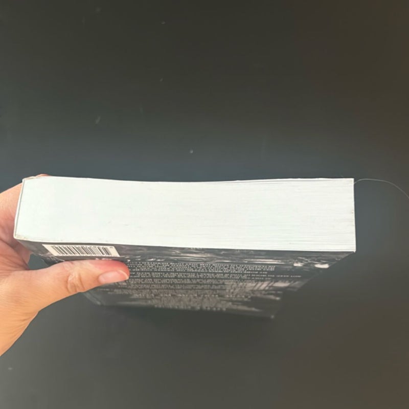 The Sinner Paperback