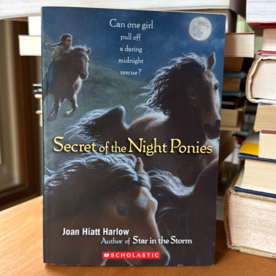 Secret of the Night Ponies