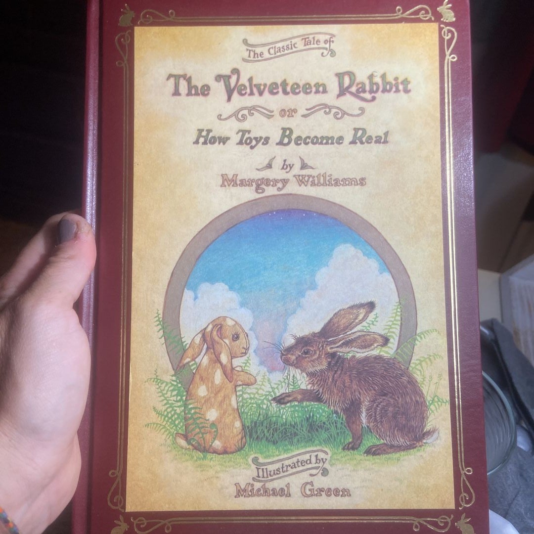 Velveteen Rabbit Deluxe Cloth Edition or, How Toys Become Real