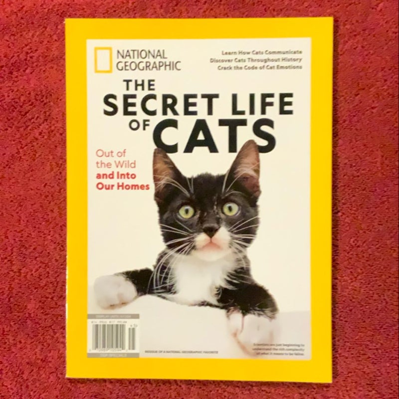 National Geographic The Secret Life of Cats