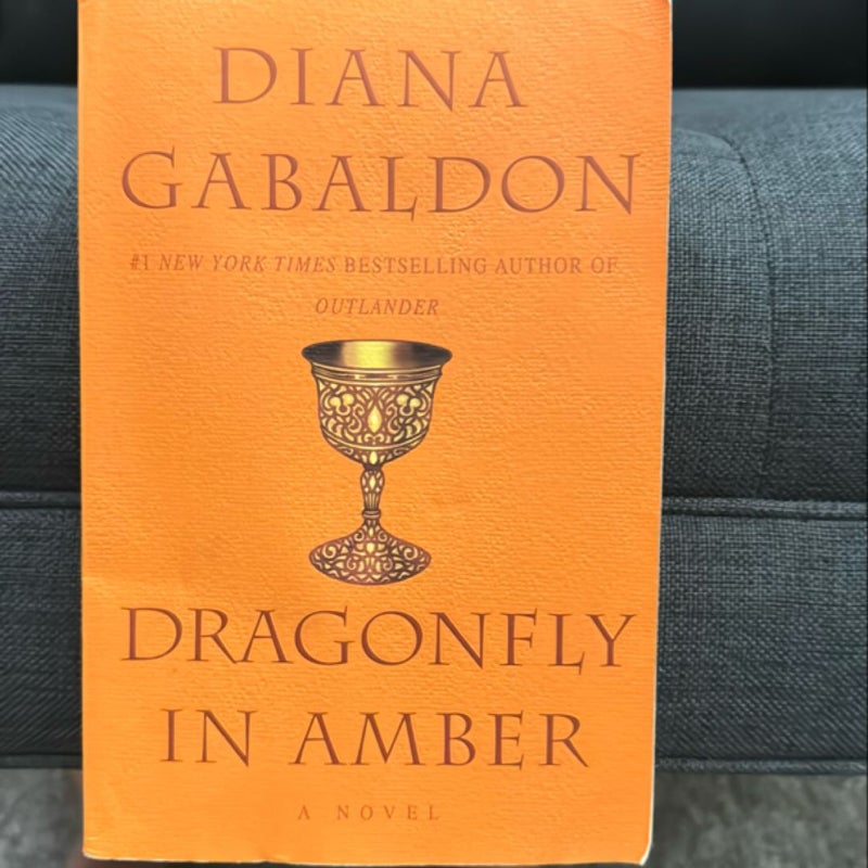 Dragonfly in Amber