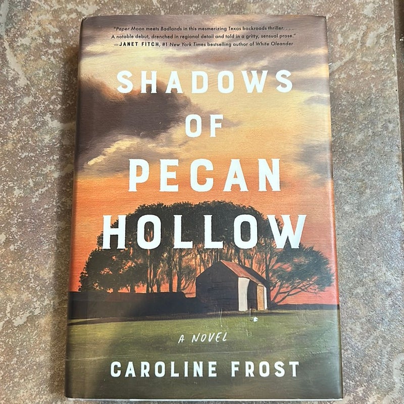 Shadows of Pecan Hollow