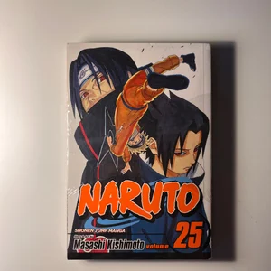 Naruto, Vol. 25