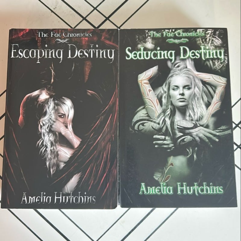 Fighting Destiny
