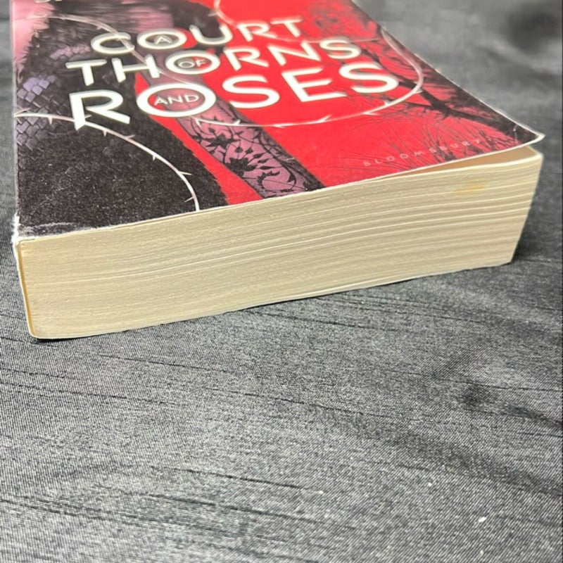 A Court of Thorns and Roses