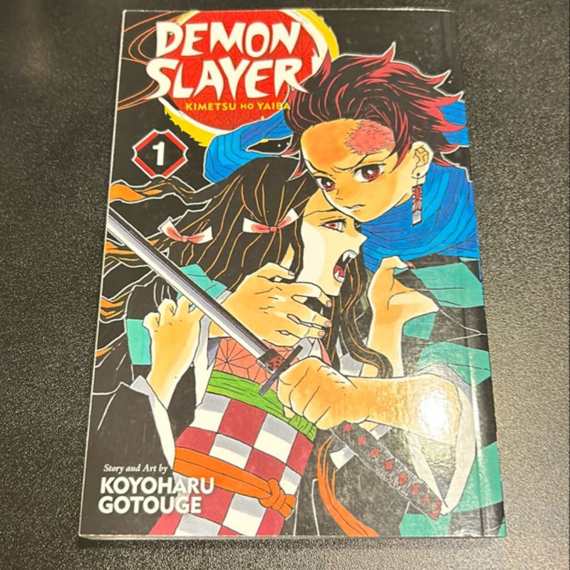 Demon Slayer: Kimetsu No Yaiba, Vol. 1