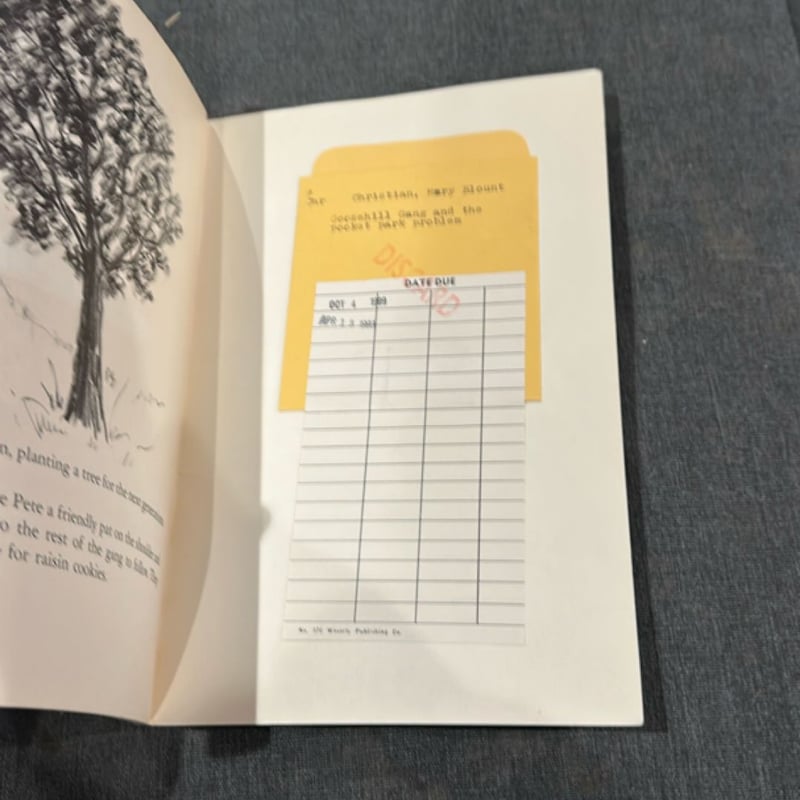 The Pocket Park Problem