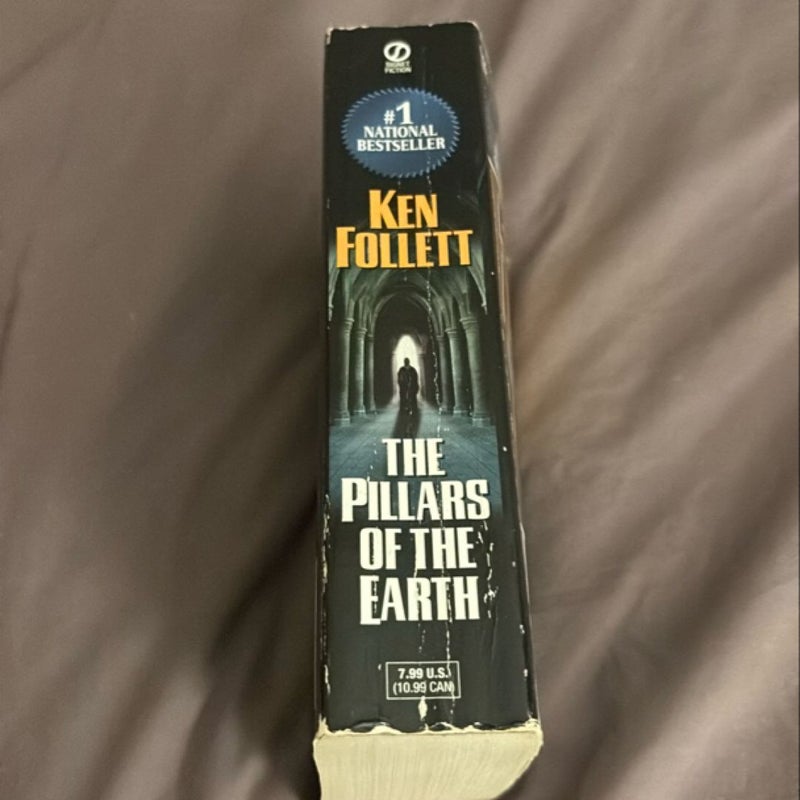 The Pillars of the Earth