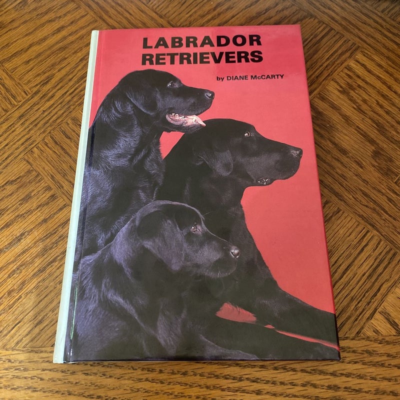 Vintage 1980s /1983 Labrador Retrievers