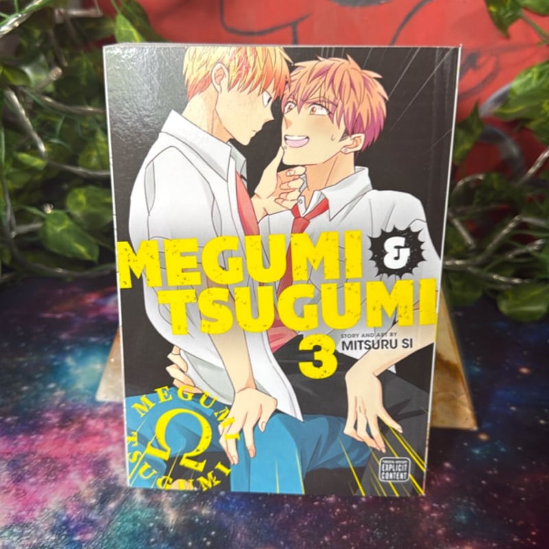 Megumi and Tsugumi, Vol. 3
