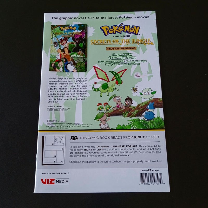 Pokemon Journeys FCBD 