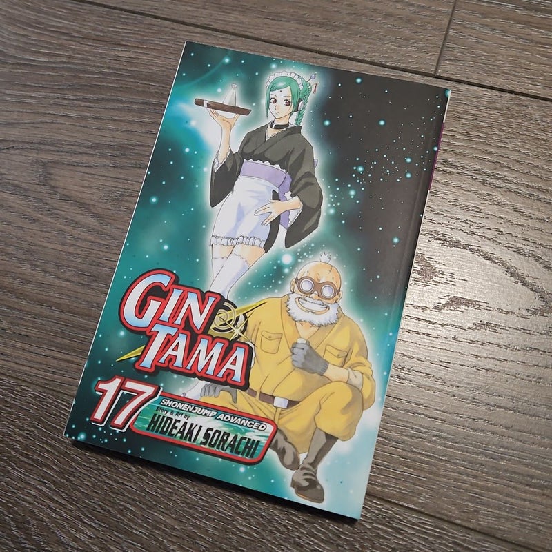 Gin Tama, Vol. 17