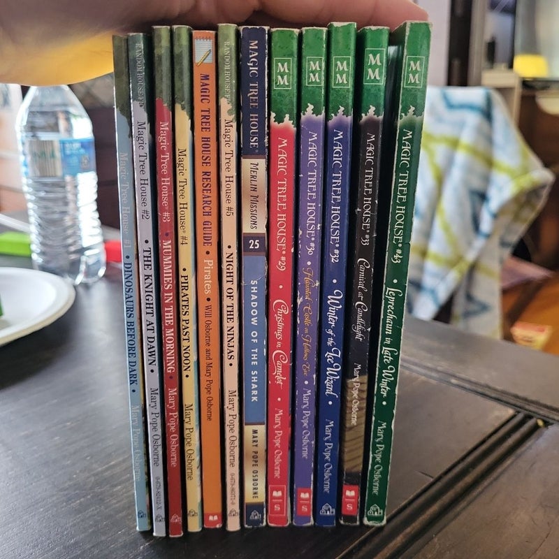 Magic Tree House Bundle 