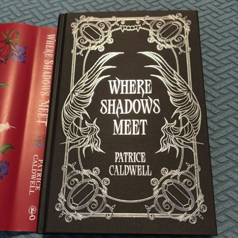 Where Shadows Meet (Fairyloot)
