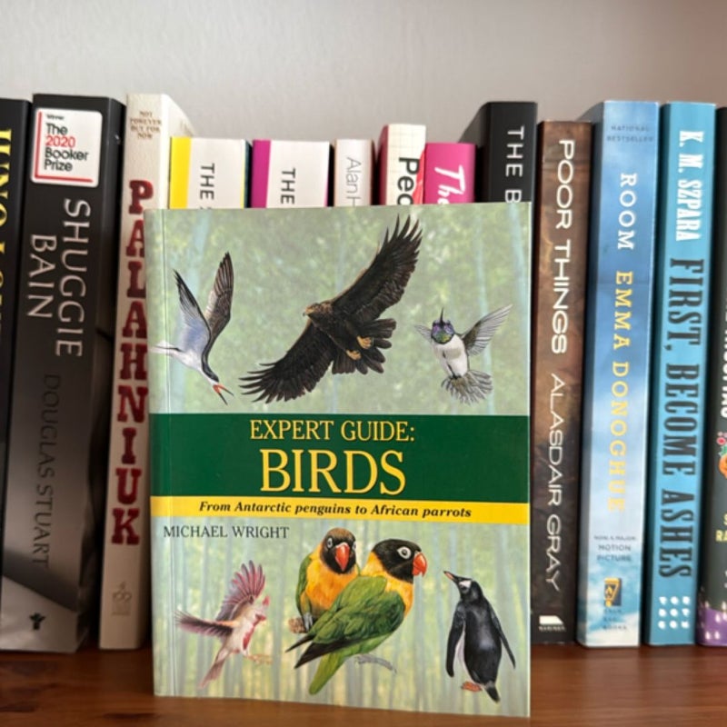 Expert Guide: Birds