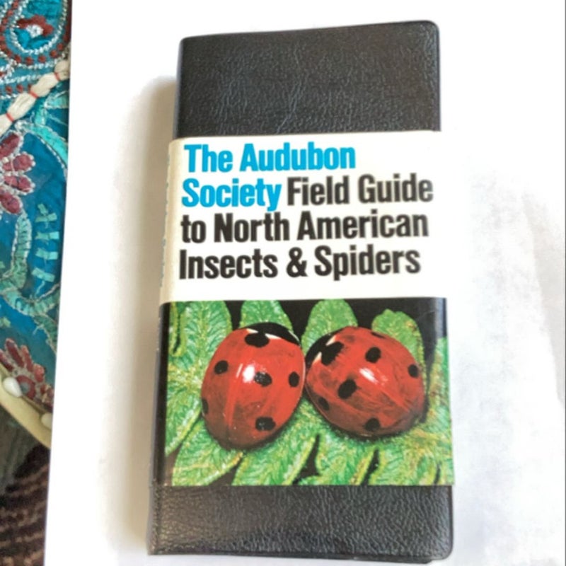 The Audubon society  field  guide to North American insects and spiders