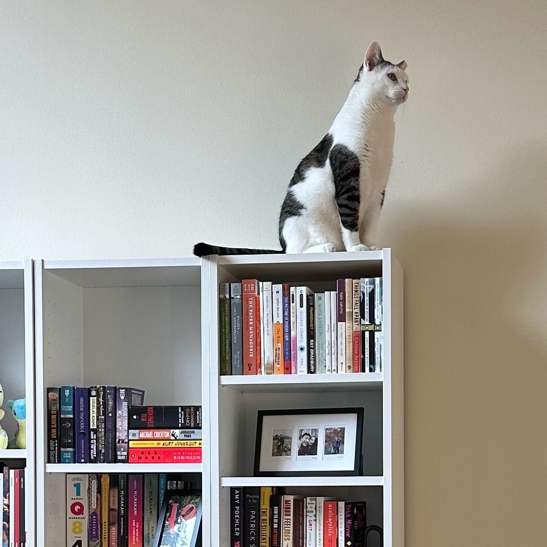 Karen's Bookshelf