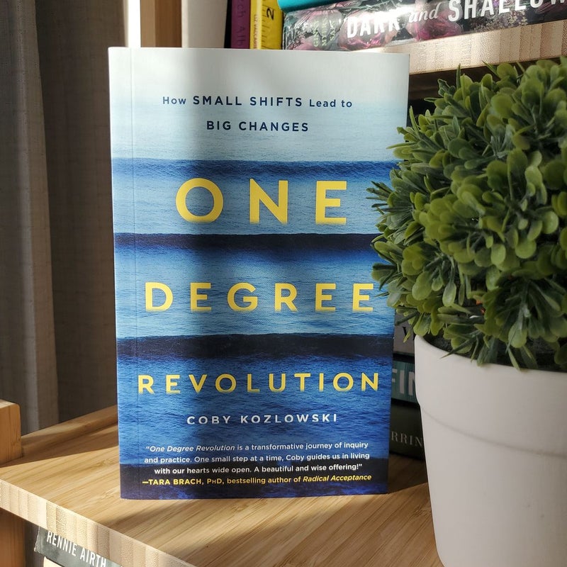 One Degree Revolution: How Small Shifts Lead to Big Changes