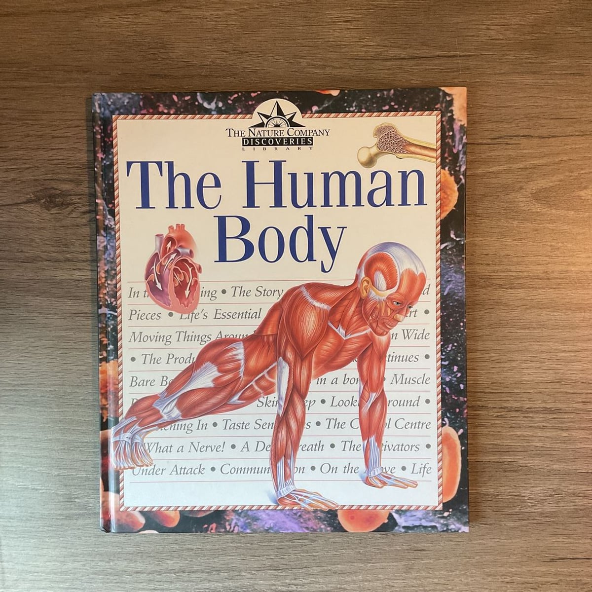 The Human Body by Steve Parker