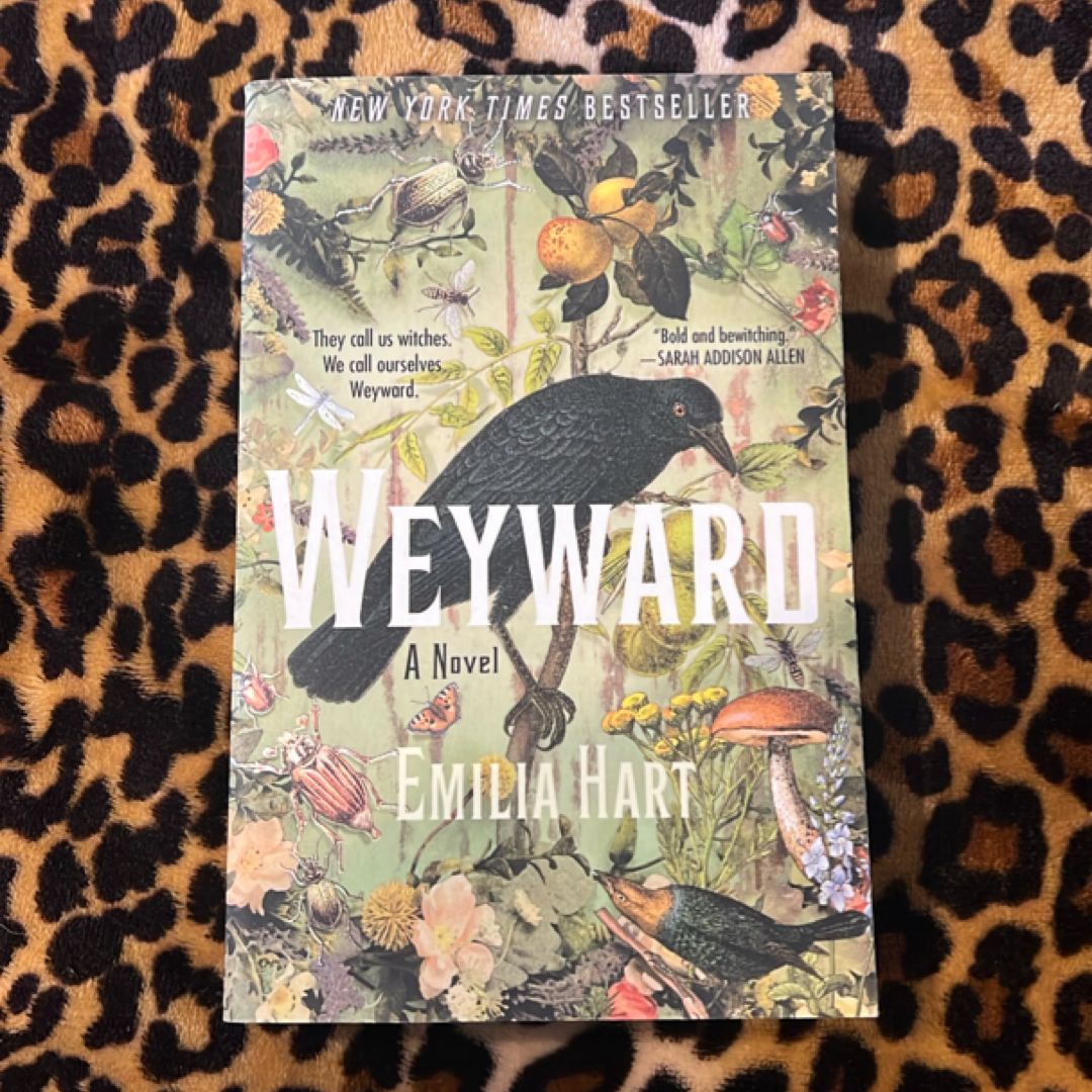 Sale image for 2ee5a084-ad9d-4bf5-82fc-3aa07fcfdc2c-xS7cCD5gSITyVa6Mfrpm11bhMkz1